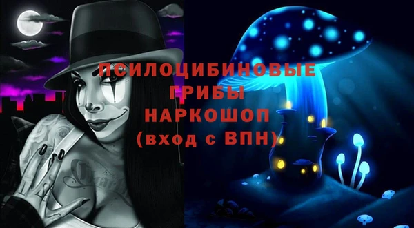 Альфа ПВП Аркадак