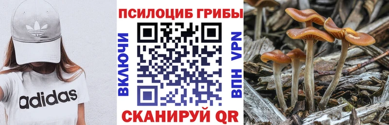 Псилоцибиновые грибы Magic Shrooms  Купить закладки  Семилуки 
